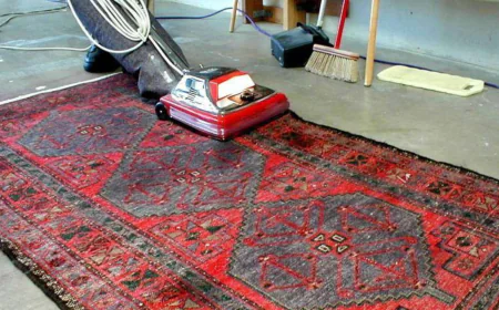 What is the Best Way to Remove Pet Stains From Fine Rugs