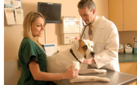 Sourcing Medical Supplies and Parts in Boise, Idaho