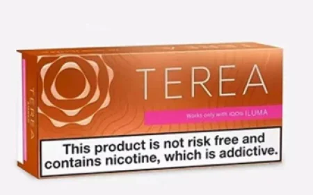 TEREA UAE: Complete Guide to TEREA Flavors, Editions & IQOS ILUMA