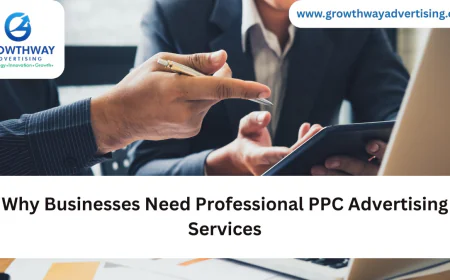 Why Businesses Need Professional PPC Advertising Services