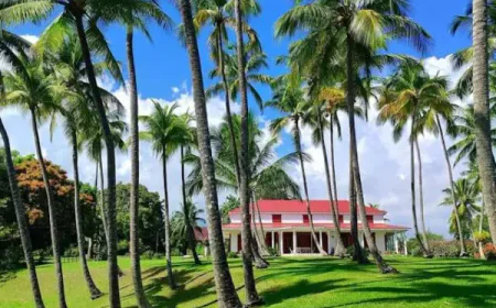 How to Protect Your Lawn From Common Florida Pests and Lawn Problems?