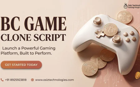 How Can a BC Game Clone Script Be Adapted for Different Gaming Markets