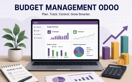 Budget Management with Odoo: Streamline Financial Planning with Nians