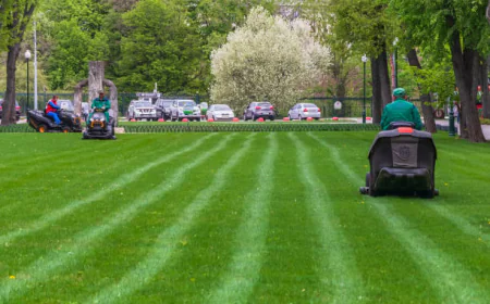 Creating Healthier Residential Lawns In Madison