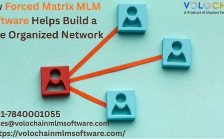 How Forced Matrix MLM Software Helps Build a More Organized Network