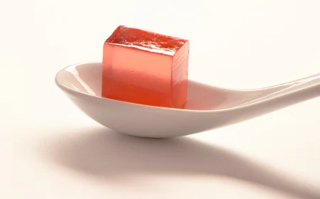 Global Gelatin Market Size, Trends, and Growth Forecast 2026-2033