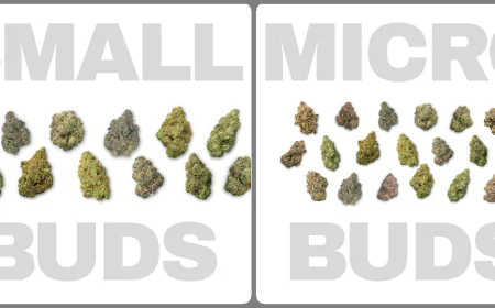 What Does High THCa Really Mean?