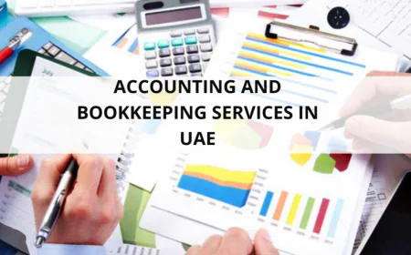 Audit Firms in Dubai for Better Risk and Control Assessment