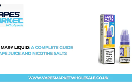 Lost Mary Liquid: A Complete Guide to Vape Juice and Nicotine Salts