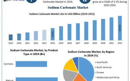 Sodium Carbonate Market Share, Emerging Trends, and Future Growth Opportunities