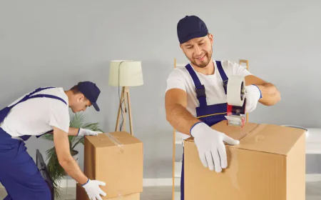 Small Moves vs. Large Estates: Tailored Options from Movers and Packers Auckland