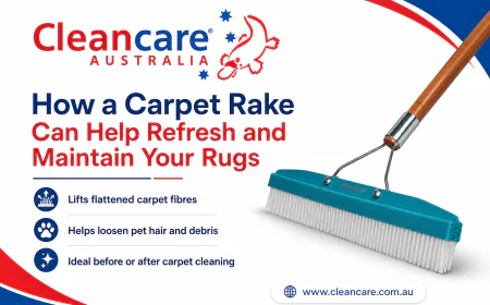 How to Choose the Right Carpet Cleaning Powder for Reliable Results