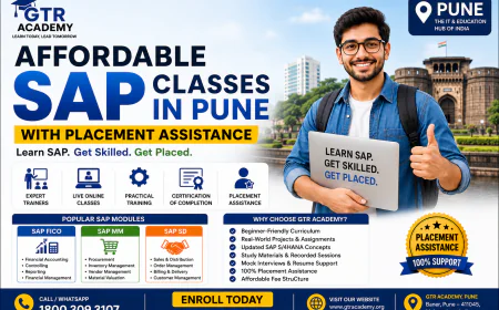 Affordable SAP Classes in Pune with Placement Assistance