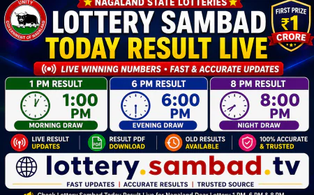 Lottery Sambad and Nagaland State Lottery: Latest Results, Winning Numbers and Important Updates
