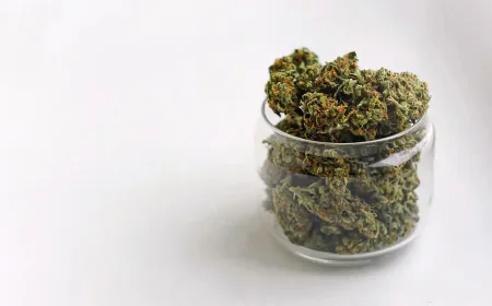 Cookies Gelatti: A Balanced Hybrid for Connoisseurs and Casual Users