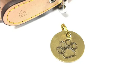 Smarter Dog Walks: Why a Dog Water Bottle, Extension Lead Dog and Tick Remover Belong in Your Kit