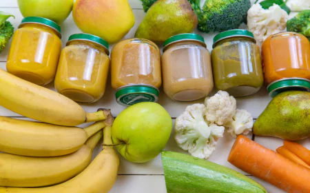 Global Organic Baby Food Market Size, Trends, and Growth Analysis 2026-2033