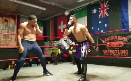 Get Ready for High Energy Matches in Wrestle Bros