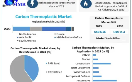 Carbon Thermoplastic Market Competitive Analysis and Future Growth