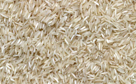 Rice Seed Market Growth and Strategic Outlook: 2026 to 2033