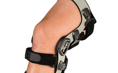 Collateral Ligament Stabilizer System Market Size, Trends, and Growth Outlook 2026-2033