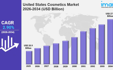 United States Cosmetics Market Size Trends & Growth Report 2026-2034