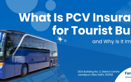 What Happens If a Tourist Bus Is Involved in an Accident Without PCV Insurance?