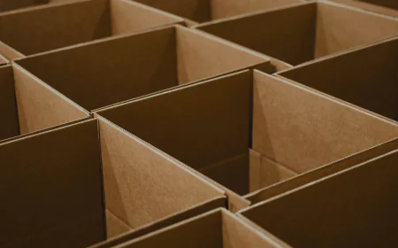 Retail Ready Packaging Market Size, Trends, and Growth Analysis 2026-2033