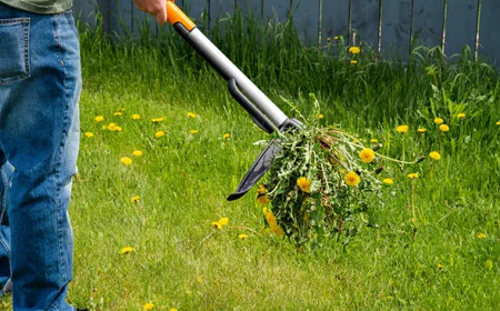Lawn Care Services in Detroit Lakes, MN | Good Lookin Properties