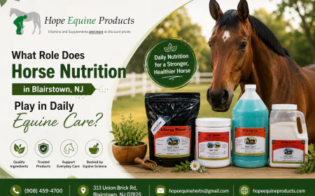 What Role Does Horse Nutrition in Blairstown, NJ Play in Daily Equine Care?