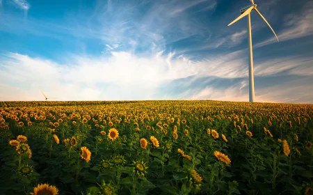 Global Green Hydrogen Market Size, Trends, and Growth Forecast 2026-2033