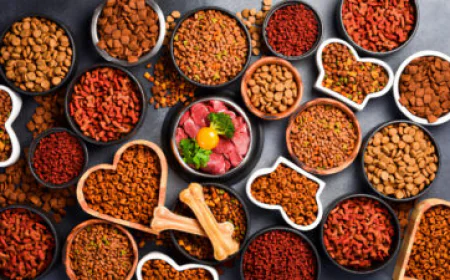 Pet Food Market Growth Driven by Rising Pet Ownership and Premiumization