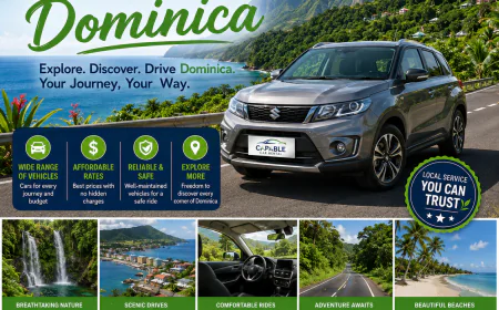 Best Car Rental Dominica: A Simple Guide to Choosing the Right Rental Service
