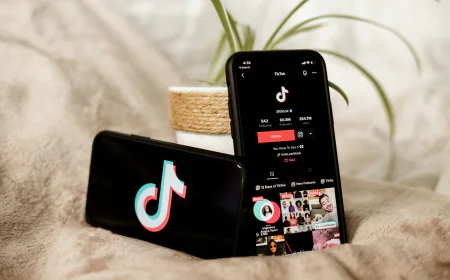 How to Use a TikTok Follower Checker to Monitor Account Growth
