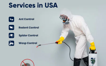 How to Keep Rodents Out of Your Home in USA