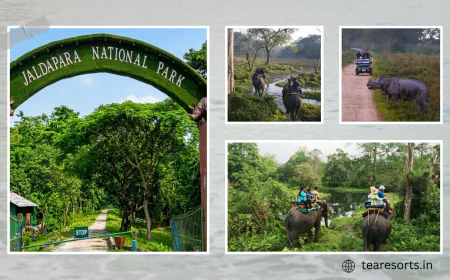 Jaldapara National Park Safari Guide | Timings & Distance
