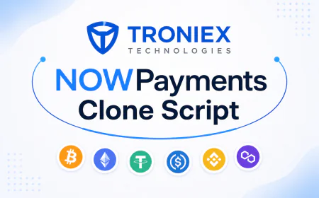 Launch Your Own Crypto Payment Platform With a NOWPayments Clone Script