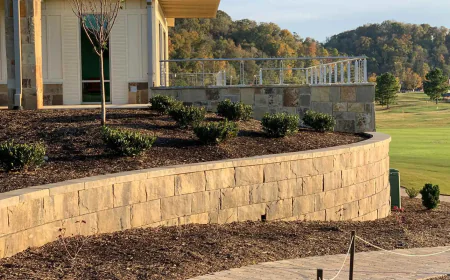 5 Popular Landscaping Styles Transforming Yards in Mansfield, TX
