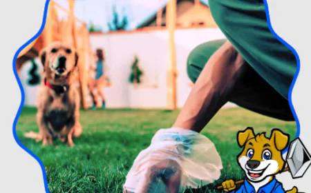 Dog Poop Yard Cleaner: The Simple Solution for a Cleaner, Healthier Outdoor Space