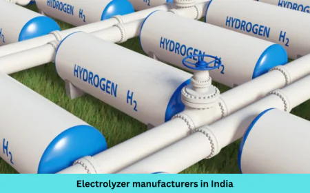 Key Factors to Consider When Choosing an Electrolyzer Manufacturer in India