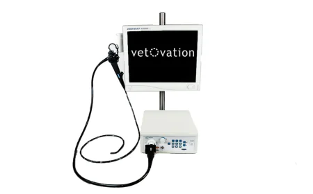 Veterinary Cystoscope Uses in Animal Diagnostic Endoscopy