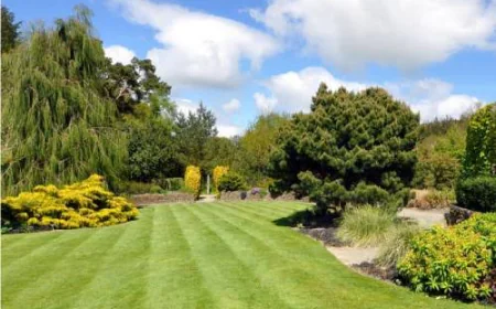 5 Signs You've Found the Right Landscaping Contractor in Sydney