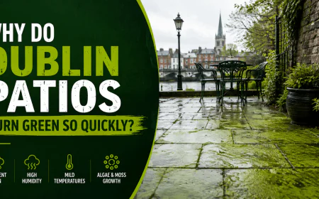 Why Do Dublin Patios Turn Green So Quickly?