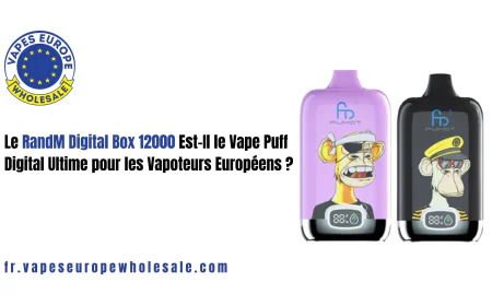 Le RandM Digital Box 12000 Est-Il le Vape Puff Digital Ultime pour les Vapoteurs Européens ?