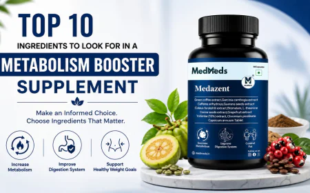 Metabolism Support Supplements and Everyday Wellness