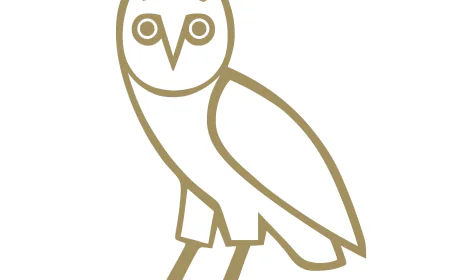 OVO T Shirt and Drake OVO Clothing