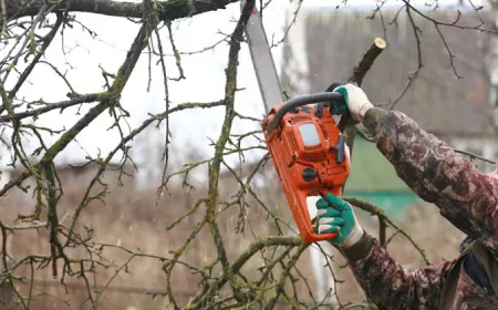 Smarter Outdoor Care for Trees and Beautiful Residential Landscapes
