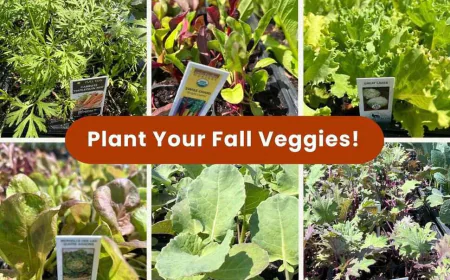 Fall Edible Garden Plants for East Bay Gardens | Evergreen