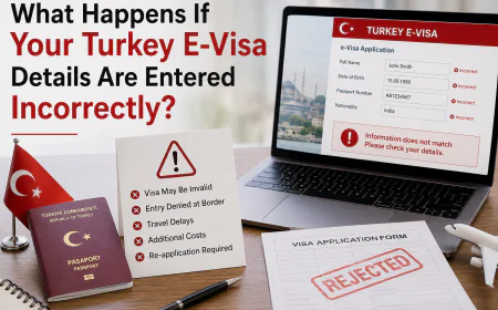 What Happens If Your Turkey E-Visa Details Are Entered Incorrectly?