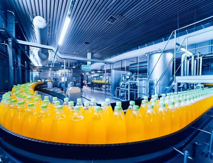 Refrigerated Circulator: A Practical Guide to Precision Temperature Control